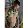 Breedwell Harnais Futura Vert Neon